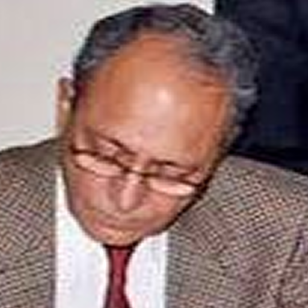 Mr Sibtain Fazal Halim